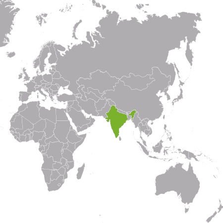 Controlla i prezzi dei tuoi rivenditori in India